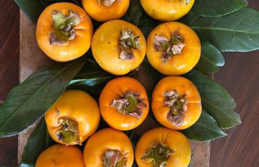 Historic Farmhouse Casa Del Chiodo - Foto 9