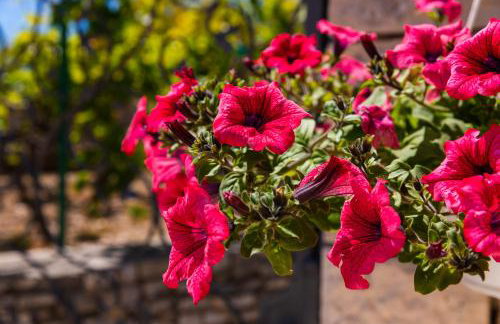 VILLA AGAPE - Three bedroom villa on 15k m2 olive grove - Incredible 360 view - Free parking - Private pool and jacuzzi - Foto 57