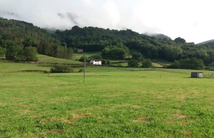 Alberroakoborda - Foto 11