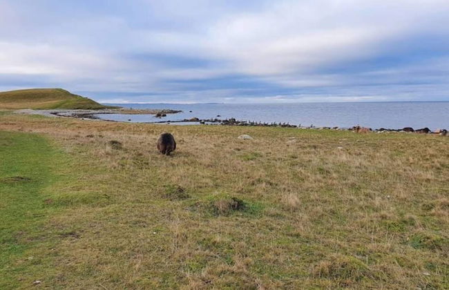 4 Person Holiday Home in Grevinge - Foto 12