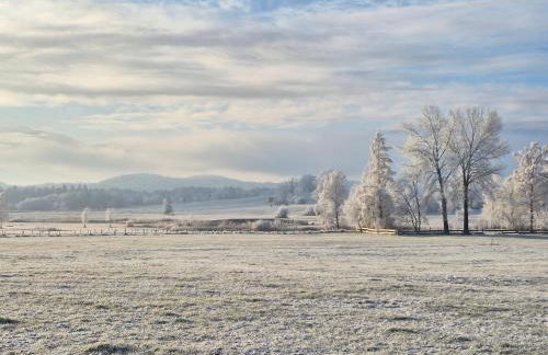 The Staffelsee Lodge - Foto 24