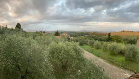 La Casa delle Rondini - Foto 3