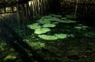 Apartament Corner Cappuccino z wanną z hydromasażem w centrum Tomaszowa! Parliamo anche Italiano! - Foto 25