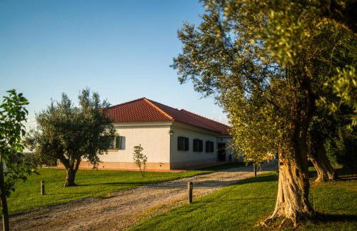 Monte dos Rolas - Foto 4