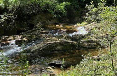 Timberwalk Cottage - Foto 51