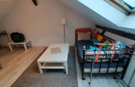 Landhaus SiebenEichen - Foto 5