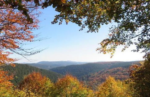 UplandParcs Haus Bergsicht - Photo 42