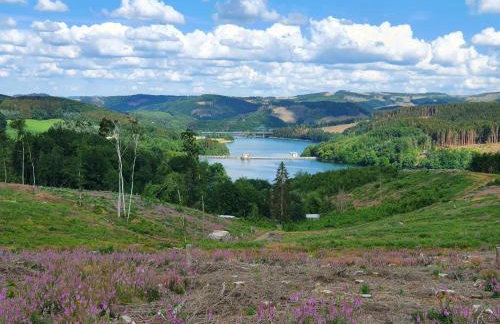Natur-Design "Platzhirsch Sauerland" - Sauna, Kamin, Balkon, Garten, Hütte, Grill - Foto 53