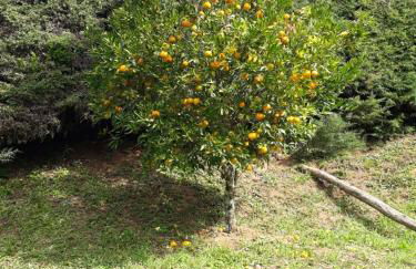 Recanto da Paz - Vale da Prata - Foto 16