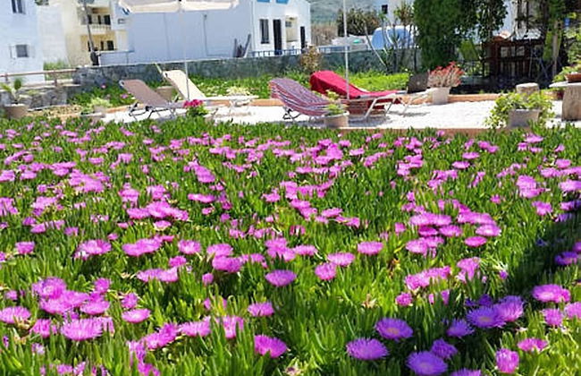 SEAesta Beach Studios - Photo 18