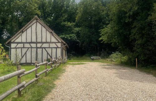 Gîte cosy en Sologne, nature et pêche, tout inclus - FR-1-590-549 - Foto 14