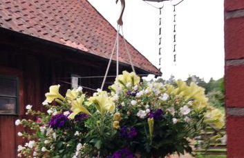 Reiterhof Winandy - Foto 12