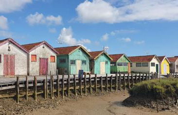 Maison 3 étoiles , proche plages, Cotinière, & St Pierre - Foto 12