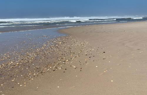 Torreira Vacation Homes - Ria House - Foto 48