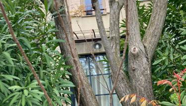 Saint laurent de la cabrerisse Rivière proche Lagrasse - Foto 4