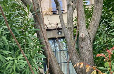 Saint laurent de la cabrerisse Rivière proche Lagrasse - Foto 4