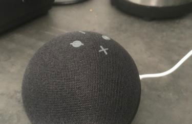 Ferienwohnung an der romantischen Salzachschleife Nähe Salzburg - Foto 14