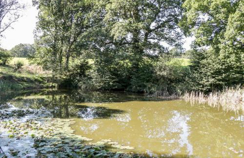 The Old Cart Shed - Foto 17