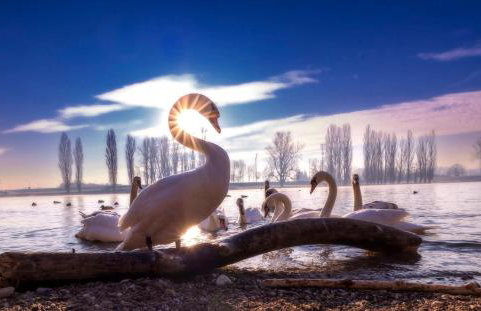 Studio apartment PANORAMA - Foto 64