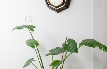 Apartamentos Albahaca Albaycin - Photo 53