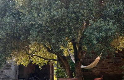 Casa Grande de Láncara - Foto 39