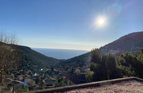 Tres beau 2 p vue mer terrasse - Foto 1