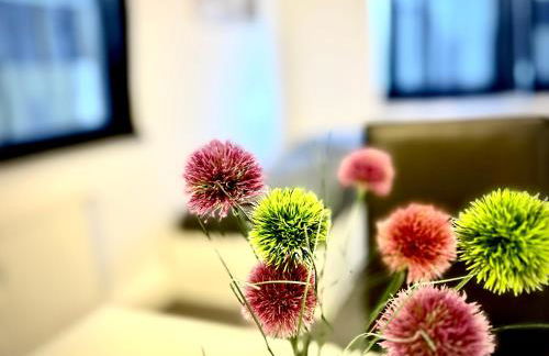 Apart Residence KK - Foto 24