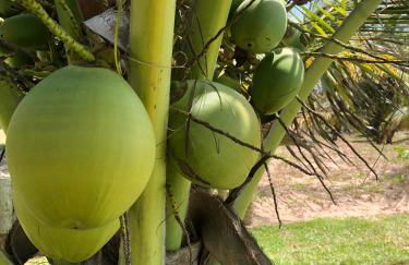 Ventos do Delta Kite Chalés - Photo 27