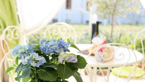 La Fassina - Foto 3, Garden