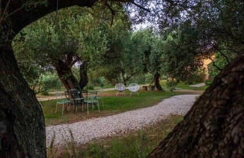 Armandiola - Foto 22