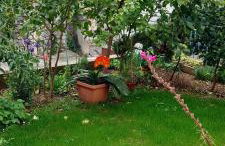 Trogir holiday house - Photo 55