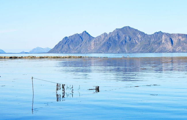 6 Person Holiday Home in Laukvik-by Traum - Foto 18