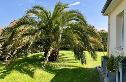 Les Palmiers gite 7 personnes plages du débarquement - Photo 17
