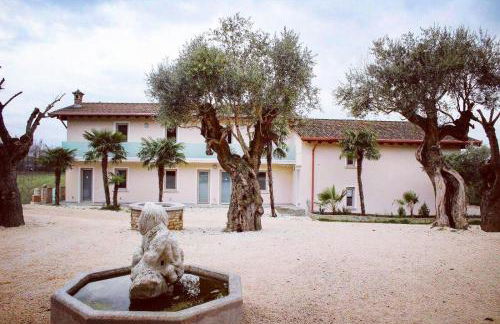 Agriturismo le Fontanelle da Valente - Foto 10