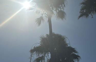 Casa Dos Palomas - Foto 33