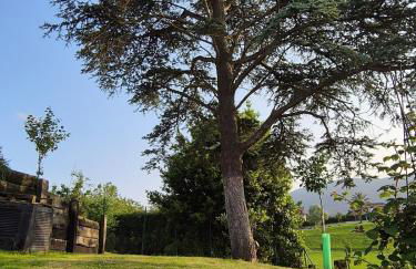 Haize Lore Bakio - Foto 38