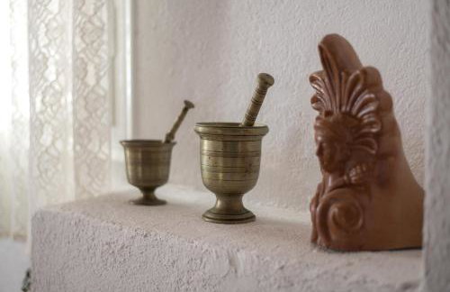 Neoclassical manor house - Foto 33