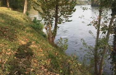 White River Landing - Foto 44