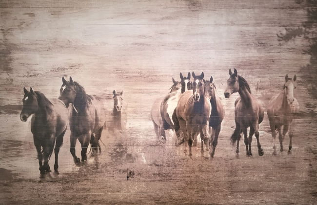 Peak Valley Manor, a Modern Farmhouse - Foto 68