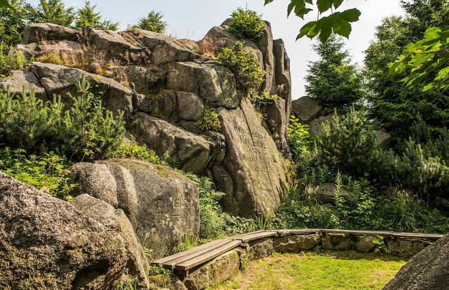 Ferienhaus Lichtung - Photo 75