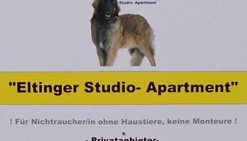 Eltinger Studio Apartment - Foto 3