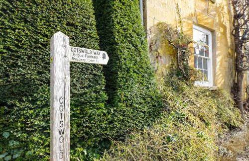 Alstroemeria - Photo 17