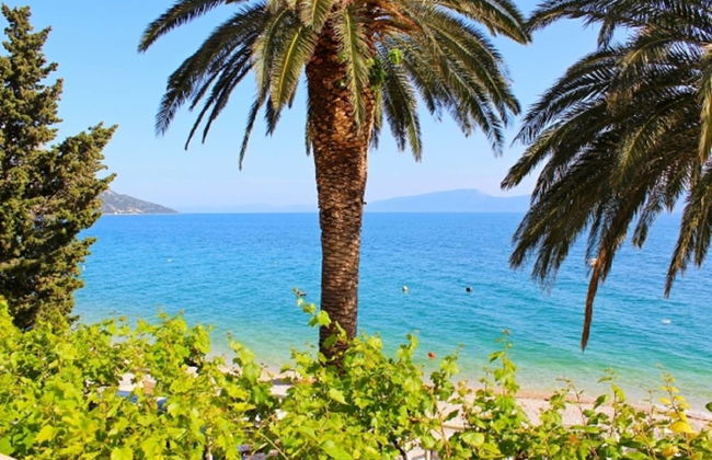 Apartments Pansion Franka 4 - Foto 22