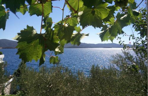 Apartments Mediteraneo - Foto 23