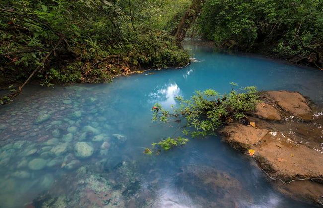 Randonnée à la rivière Celeste - Photo 5