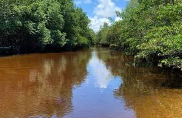 Terraços da Barra 206A Perto de tudo - Foto 23