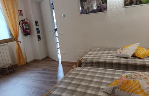 Cá del Manöl - Foto 19