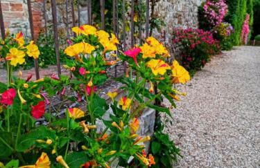 Castellare - Foto 60