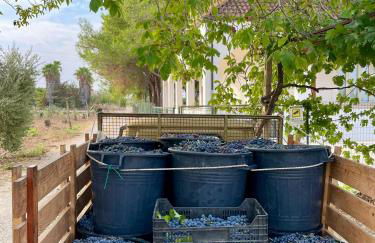 Villa Brada - Foto 21