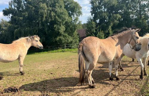 Apartment Style & Nature - Luxus trifft Natur - Foto 55
